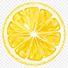 vector lemon slice transparent png similar png vector lemon slice transparent png