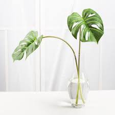 Pin On Decorating With Flowers Greenery Fruit