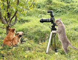 Фотоаппаратура.новая камера, штатив, кофр для переноски оборудования, насадки на вспышку, набор цветных фильтров станет полезным и приятным презентом профессионалу. Den Fotografa 2021 12 Iyulya