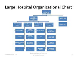 62 Prototypic Health Information Management Department