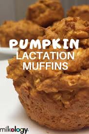 Excellent Baby Nursery Detail Are Readily Available On Our Web Pages Read More And You W Lactation Cookies Recipe Lactation Muffin Recipe Breastfeeding Snacks