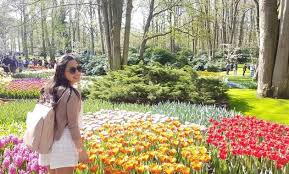 Tapi, kalau korang nak tahu sebenarnya tak semua bunga mempunyai ciri tu. 10 Foto Bunga Terindah Di Dunia Maknanya Beserta Namanya Jejakpiknik Com