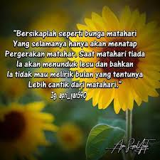 Di antaranya adalah tentang kesetiaan, kegembiraan, keceriaan, dan masih banyak lagi. Kata Bijak Bunga Matahari Cikimm Com