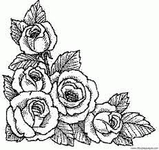 20120110024103 Be7d9dc5 Gif 636 600 Flower Sketch Images Rose Flower Sketch Flower Sketches