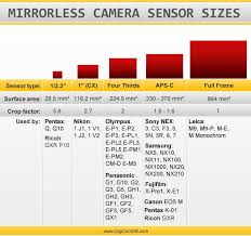 a graphical comparison of mirrorless camera sensors sizes