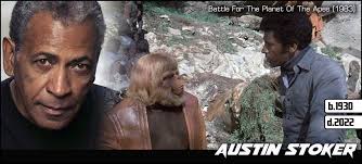 Stardate 10.11.2022.B: In Memoriam