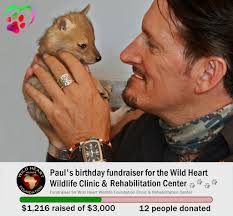 Last day for my Birthday Fundraiser for Wildlife! Please help reach my  goal: PayPal.me/wildheartwildlife 🐾❤🐾 I'm celebrating my birthday today  by supporting those who can't ask for help — the injured and
