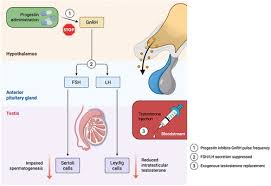 Image result for Fourth Generation Progestin