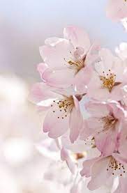 Pin On Nature 3