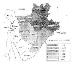 Image result for Pycreus mundtii