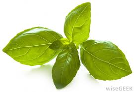 I'm doing an art project. What Are Organic Shapes With Picture