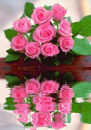 Download flower and roses images flower wallpapers and gif emoji for your phone, you can share it with friends by whatsapp, upload. Top 30 Pink Water Gifs Find The Best Gif On Gfycat