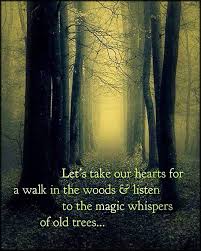 Let S Take Our Hearts For A Walk In The Woods And Listen To The Magic Whispers Of Old Trees Popular Inspirational Quotes At Emilysquotes Into The Woods Quotes Nature Quotes