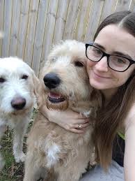 Lansing dr… No collars I can't keep them. Update: found their home!!!