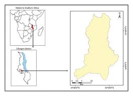 Image result for Burttdavya nyasica