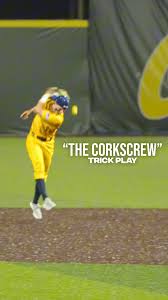 Dalton McCartney, OPE, we meant Mauldin is soooo dreamy🤪🎶 #baseball  #2000sthrowback #MLB #savannahbananas #pleasepleaseplease #millennials  #jessemccartney