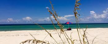 Maybe you would like to learn more about one of these? Dr Julian G Bruce St George Island State Park Florida State Parks