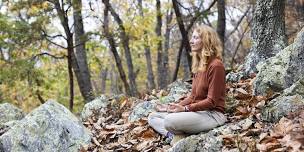 Whispering Leaves: A Fall Silent Yoga & Meditation Retreat