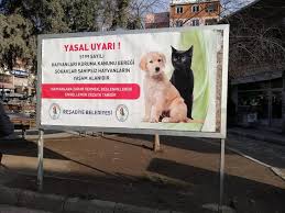 Sokak Hayvanlari Icin Beslenme Odagi Kuruldu Resadiye Belediyesi