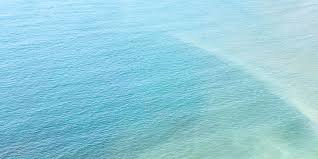 Rattraper Une Eau Verte Dans La Piscine Contaminee Par Les Algues