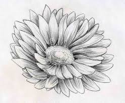 Pin On Drawings