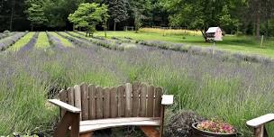 Yoga in the Lavender Field