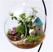 Bring Some Life Into Your Home With These Decorative Terrarium Be Creative Be Unique Be You Description Round Terrarium Stand Sukkulenty V Sadu Sukkulenty