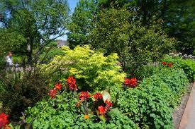 Maybe you would like to learn more about one of these? Purple Prince Crabapple Malus Purple Prince North Shore Plant Club
