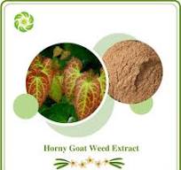 Extracto de Tongkat Ali, Extracto de Ginseng Panax, Extracto ...