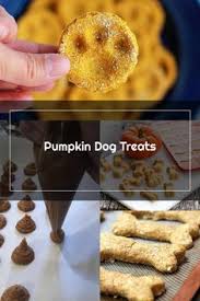 Salah dan khilaf mohon maafkan. Fae Lemon Faelemon Profil Pinterest