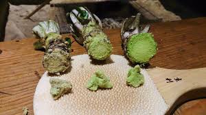 Kumpulan jenis sayuran untuk kelinci yang bernutrisi sesuai kebutuhannya. Berbeda Dengan Sayuran Lain 5 Sayur Ini Punya Harga Yang Mahal Ada Kentang Dan Wasabi Juga Semua Halaman Bobo