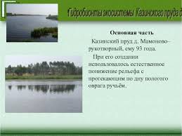 1.2 маршруты до мамоновский пруд в развилковском на общественном транспорте Prezentaciya Gidrobionty Ekosistemy Pruda Doklad Proekt
