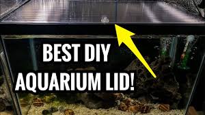 The Best Diy Aquarium Lids Diy Aquarium Diy Fish Tank Aquarium