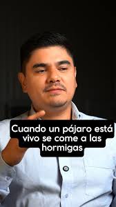 Jorge Eliecer Aguilar Montaño