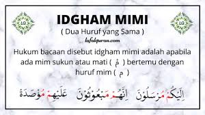Idgham bighunnah atau ma'al ghunnah. Idgham Mimi Arti Hukum Bacaan Cara Membaca Dan Contohnya