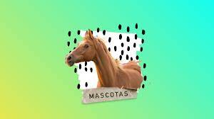 101 Nombres Para Caballos Y Yeguas Pet Posts