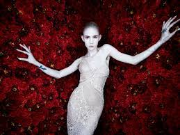 Born march 17, 1988), known professionally as grimes, is a canadian musician, singer, songwriter, record producer, music video director, and visual artist. Encouraged By Elon Musk Grimes Changes Her Name To The Speed Of Light The Verge