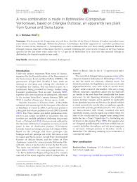 Image result for Erlangea