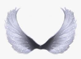 Fairy wings transparent images (247). Wing Clip Art Anime Angel Wings Png Transparent Png Transparent Png Image Pngitem