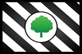 Escudos de futebol de botão lh: File Figueirense Sc Svg Wikimedia Commons