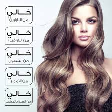 إل صالون مجموعة فرد الشعر بالبروتين مع زيت بذرة الكتان