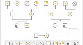 Medical Genogram Alzheimer Family Family Health Mapping