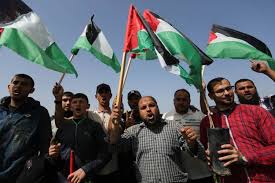 #solidarity #stand with palestine #free palestine #palestinians #palestinian people #israeli terrorism #protest action #protest movement #west bank #middle east #justice for palestine #muslim lives matter. Joseph Morse The Suffering Of Palestinian People Is Real