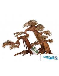 C'est une taille qui se pratique en hiver sur les arbres à feuilles la taille des branches décide de la forme de base du bonsai. Aquavie Aqua Bonsai Pour Aquarium 15 A 20 Cm