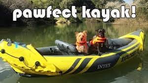 And what better friend to share kayaking adventures with than your dog! Best Inflatable Kayak Intex K2 Explorer Youtube