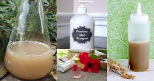 The following recipe can help prevent dry hair by restructuring the hair fibers. Homemade Shampoo Recipes From Your Garden