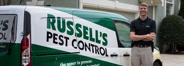 Affordable pest control provides services to rid your home or office of general pests and insects. Residential Pest Control Experts Russell S Pest Control In Knoxville Tn