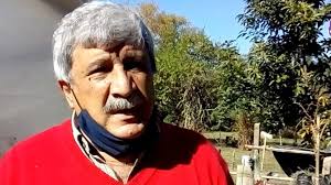 Recomiendan evitar la poda de árboles para cuidar el medioambiente