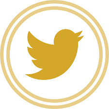 Twitter Logo Icon Png Clipart - Full Size Clipart (#1506483) - PinClipart