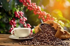 Check spelling or type a new query. Kopi Nescafe Bukan Hanya Sekedar Merek Kopi Rasakan Kenikmatan 8 Variannya